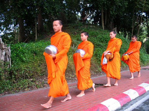 Buddhist monks going out begging for food in the morning in Chiang Mai