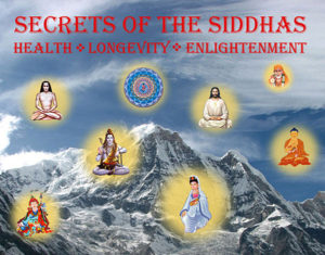 In 2010 Ganga and Tara returned to America after living in India for 4 years with $80 to their name and no car. They traveled for the next 10 months coast to coast giving over 150 free multimedia seminars on "Secrets of the Siddhas - Health, Longevity and Enlightenment" to over 3,000 people. They decided that all their events would be free because they don't believe in turning spirituality into a business.