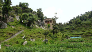 Arriving at Paramananda Puri Maharaj's cave in the Kumaon Hills
