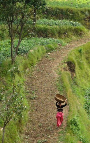 Woman carrying basket in the Kumaon Hills