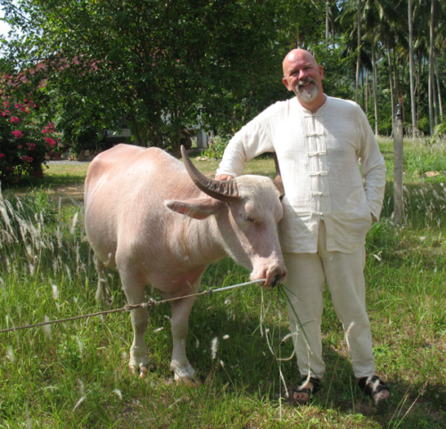 Ganga with Pinky the buffalo at Big Trees on Koh Samui