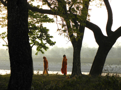 Sadhus walking along the Ganga