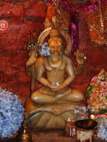 Statue in Paramananda Puri Maharaj&#039;s cave