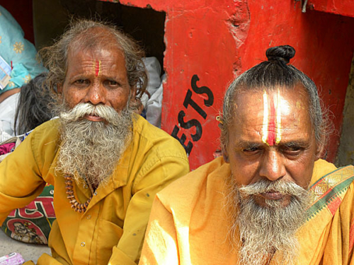 Sadhus at the Kumbha Mela in Haridwar in 2010