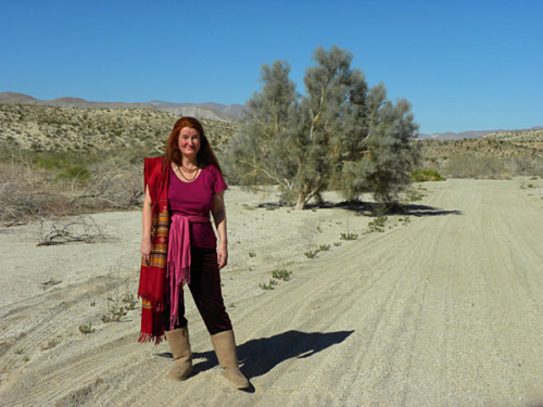 Tara in the Carrizo Gorge in the Anza Borrego desert