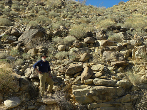 Ganga in the Carrizo Gorge in the Anza Borrego desert