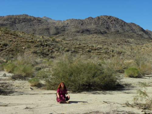 Tara in the Carrizo Gorge in the Anza Borrego desert
